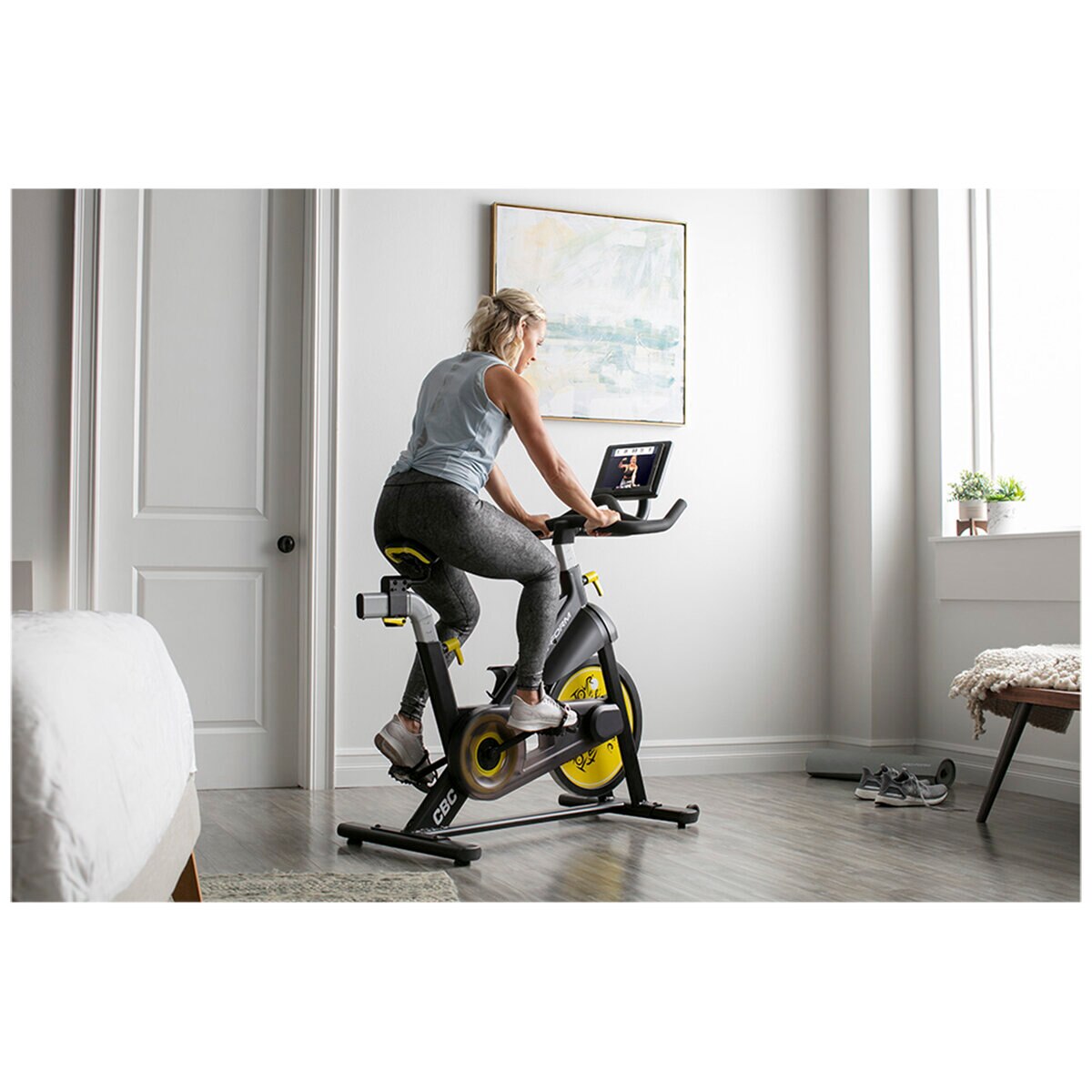 proform tour de france ctc studio bike