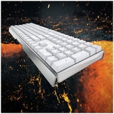 Cherry MX 3.0S NBL Gaming Keyboard White with Blue Switch G80-3870LSAEU-0