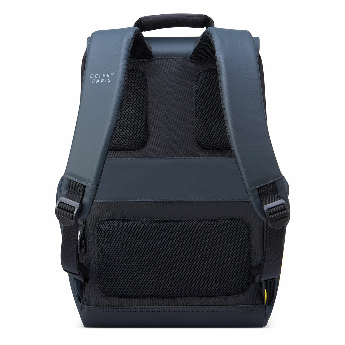 Delsey Securflap Backpack