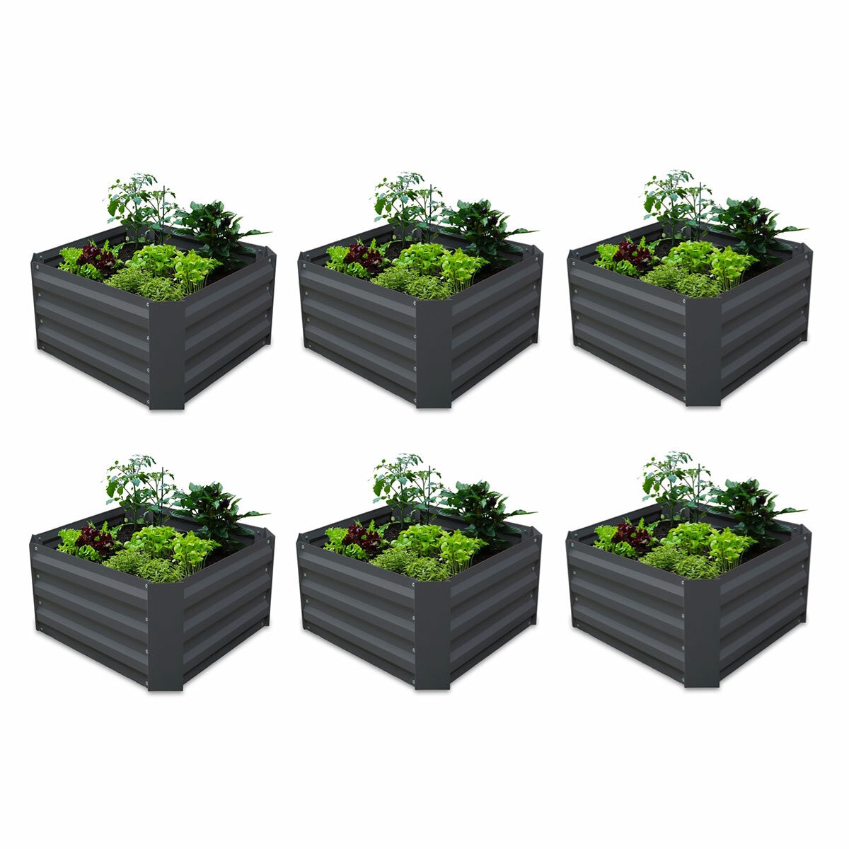 Greenlife Small Garden Bed 600 x 600 x 300mm - 6 Pack Greenlife Small Garden Bed 600 x 600 x 300mm - 6 Pack