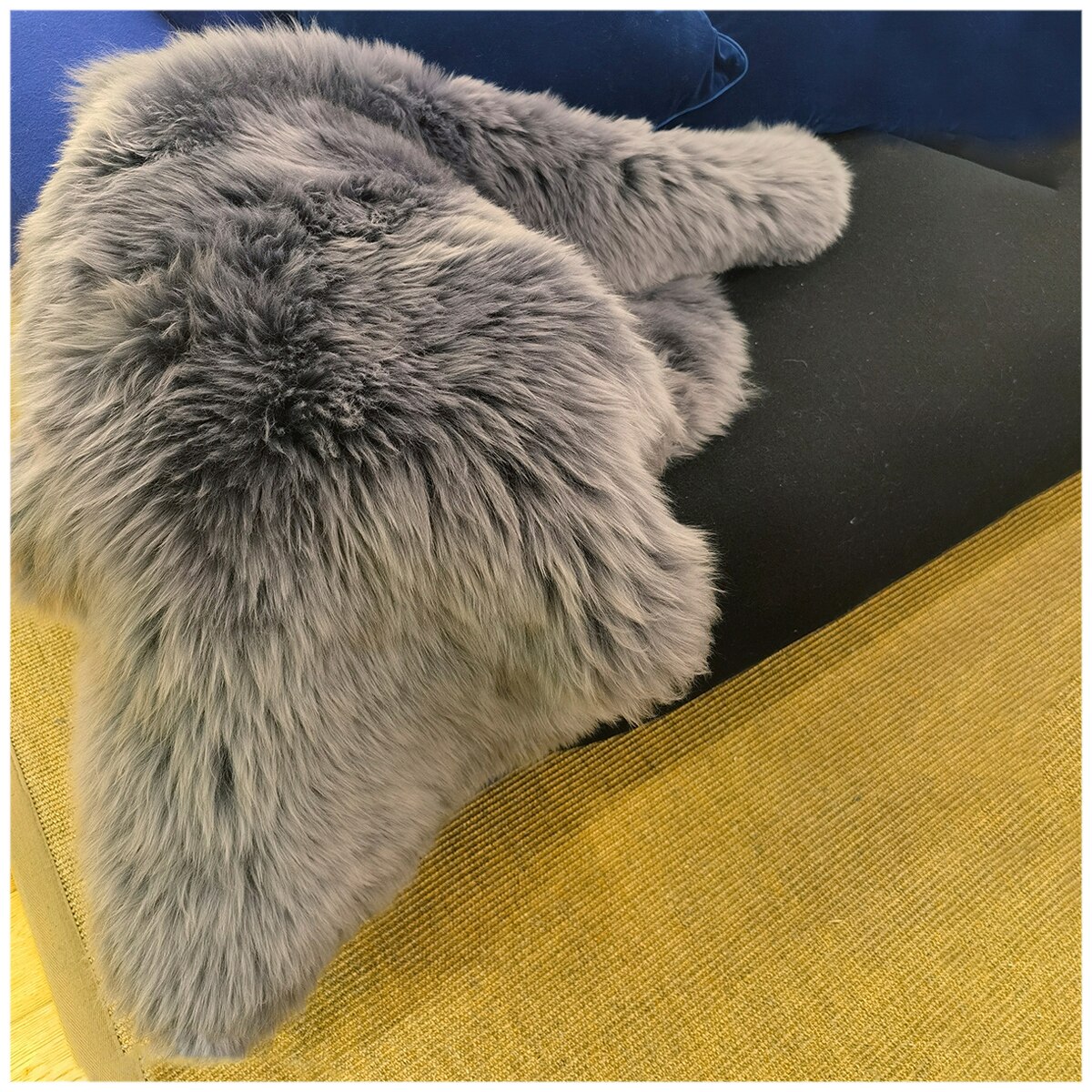 AusGolden Visby Large Sheepskin - Grey