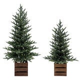 CGH Pine Trees with LED Twinkle Lights 2 Piece Set