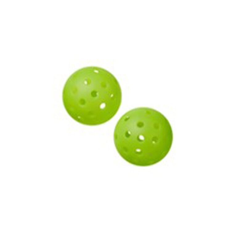 Wilson Pickleball Kit