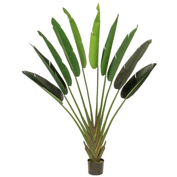 Rogue Giant Travellers Palm 140 x 30 x 215cm Green