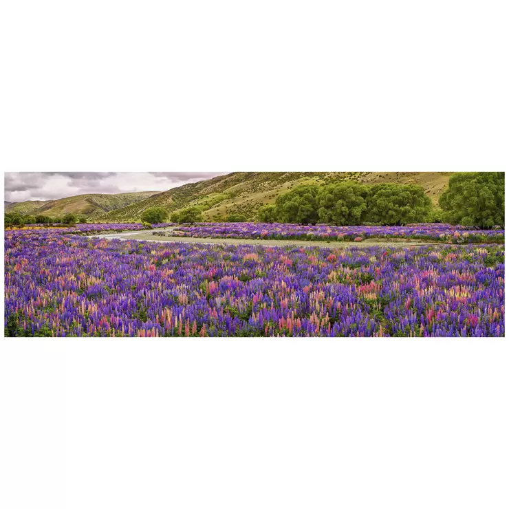 Ken Duncan 30 Floral Canvas Framed Print White