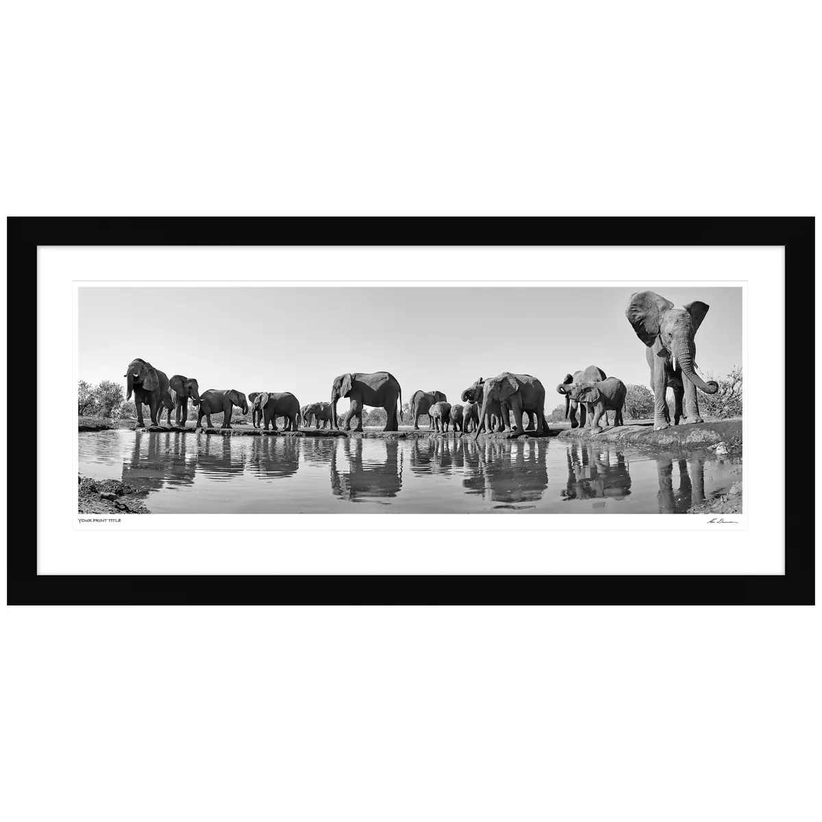 Ken Duncan 50 Imperial Protection Framed Print Black