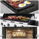 The Rock Reversible Grill/Griddle