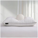 Hotel Grand All Feather Pillow 2 Pack