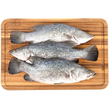 Fresh Australian Whole Baby Barramundi (Case Sale/Variable Weight 10-12kg)