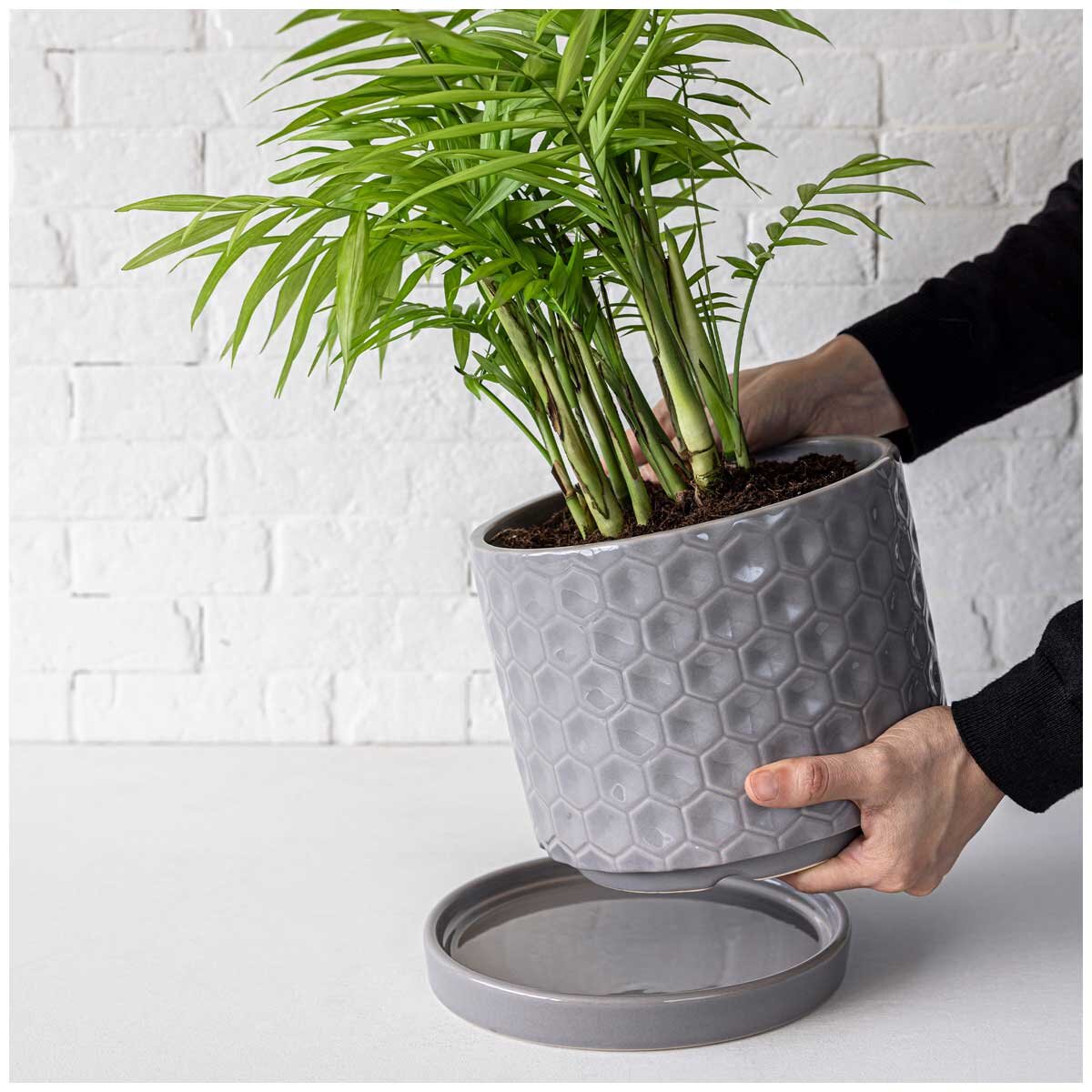 over&back Set of 2 Honeycomb Ceramic Planters