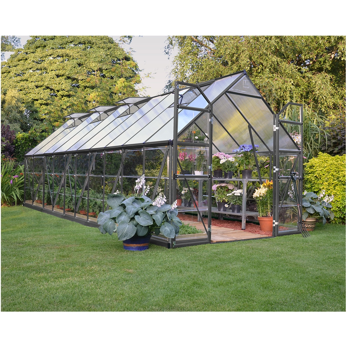 8x20 Balance Green Glasshouse