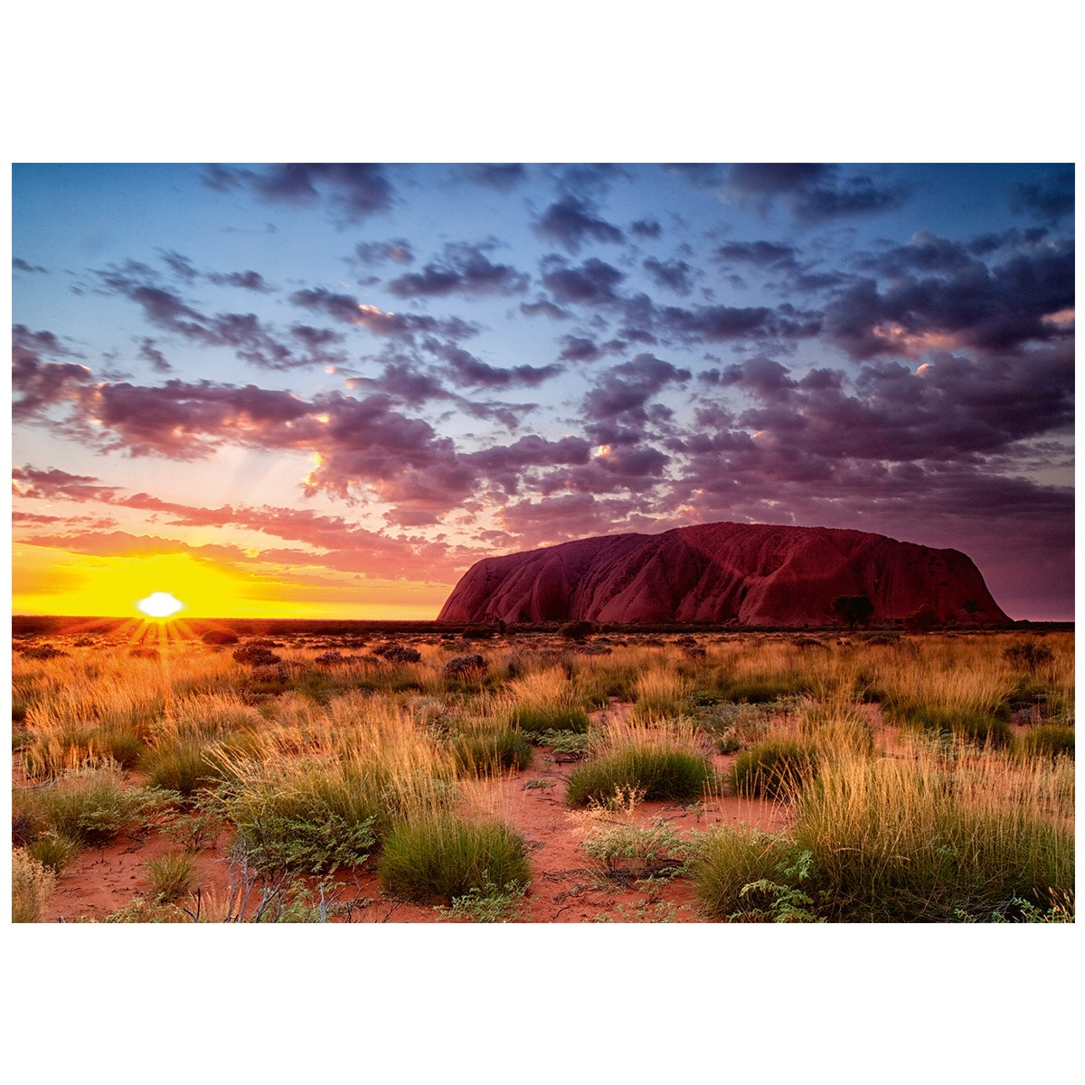 Rburg - Ayers Rock Australia Puzzle 1000 piece