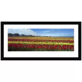 Ken Duncan 40 Inch Nature's Palette, TAS Framed Print