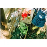Plum Mud Pie Kitchen
