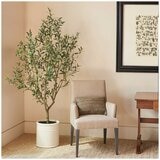 CG Hunter Faux Olive Tree in French Crock Pot 2M