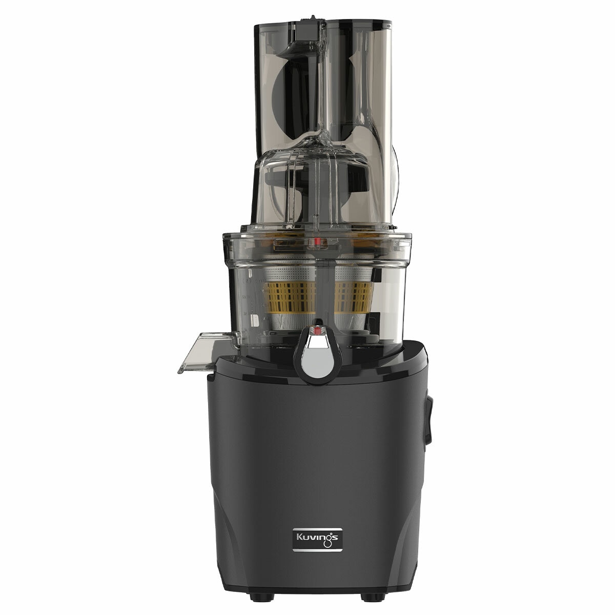 Kurvings Cold Press Juicer Revo830