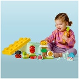 LEGO Duplo Organic Garden 10984