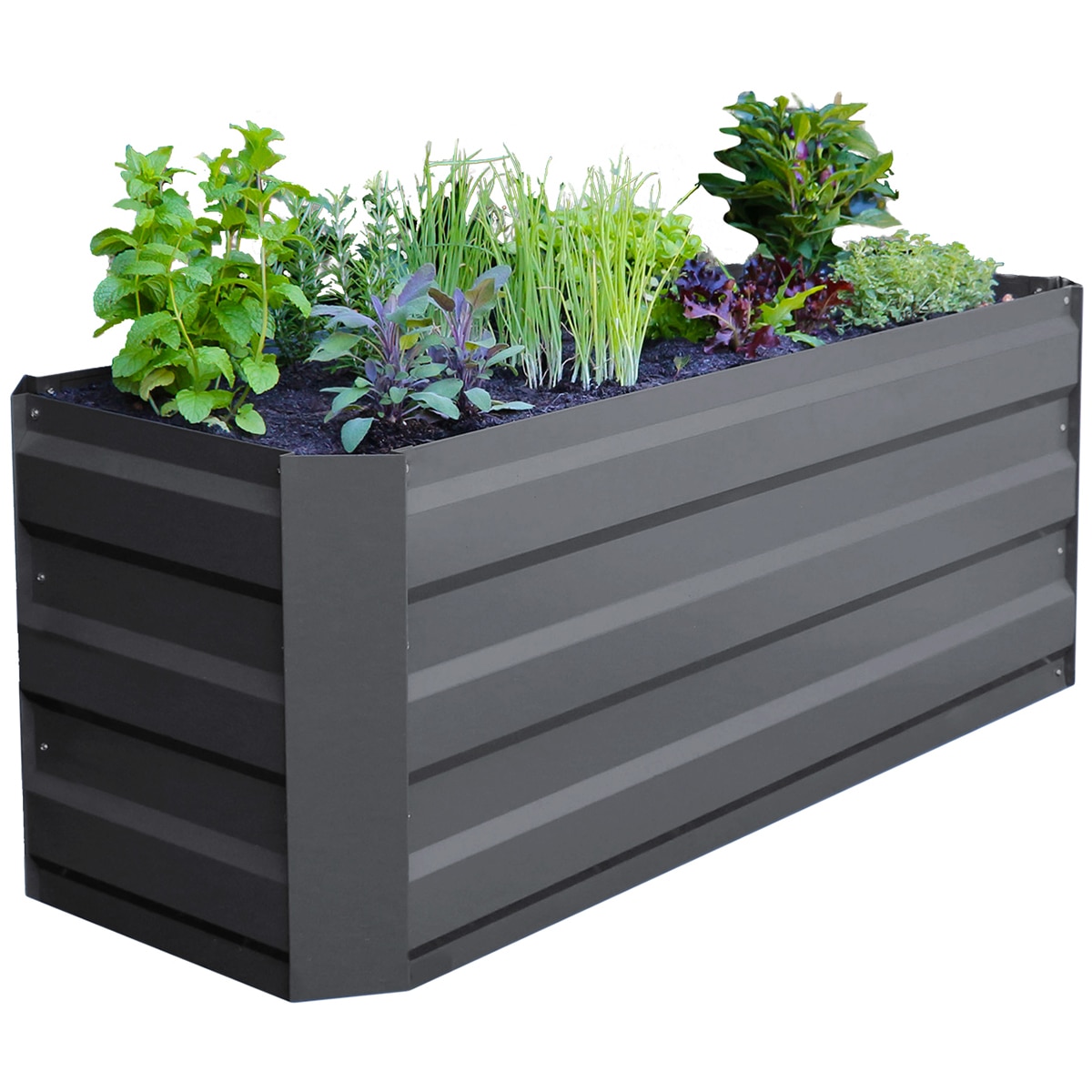Green Life Slim GARDEN BED with Cover - Charcoal