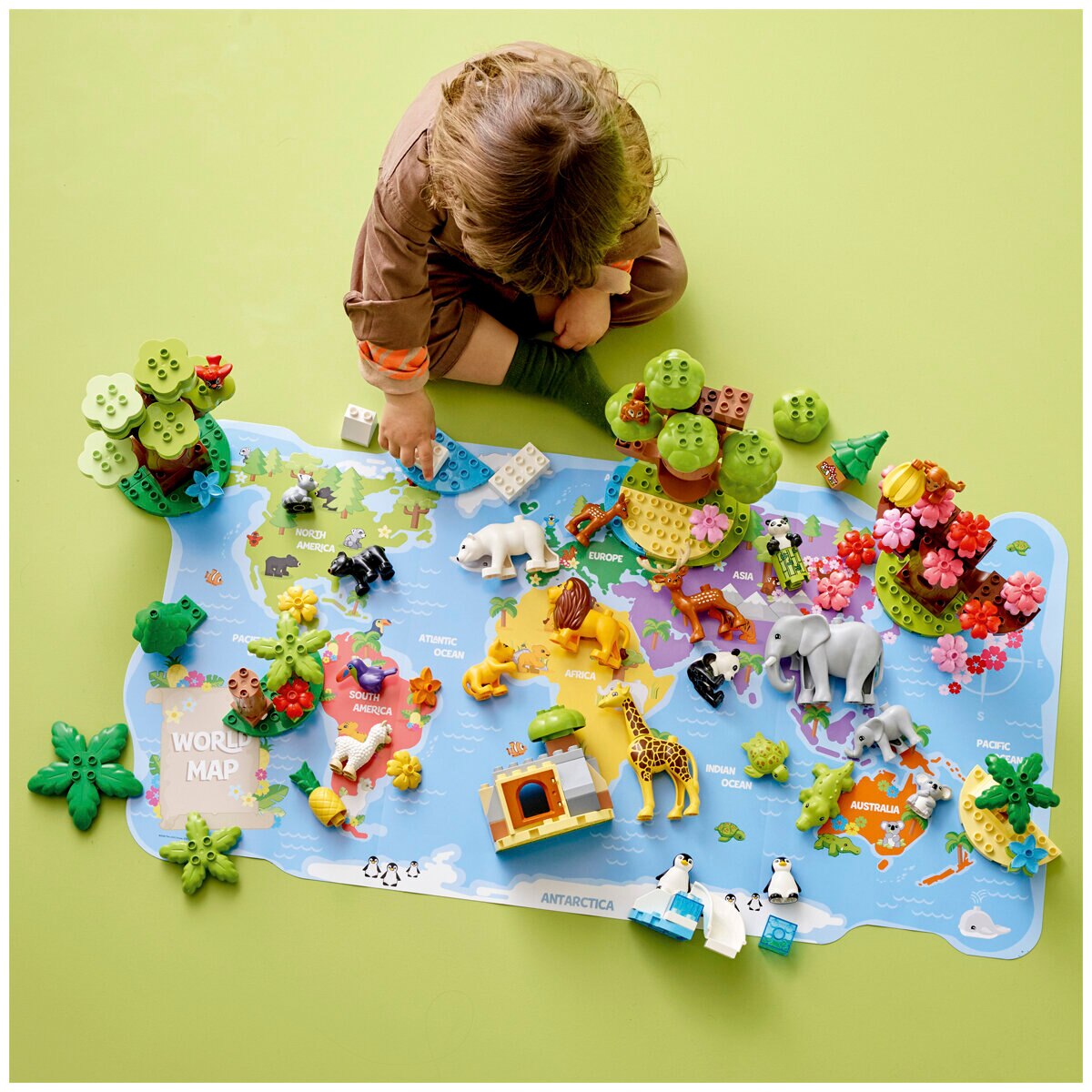 LEGO Duplo Wild Animals of the World 10975 | Costco Austr... LEGO Duplo Wild Animals of the World 10975 | Costco Austr...