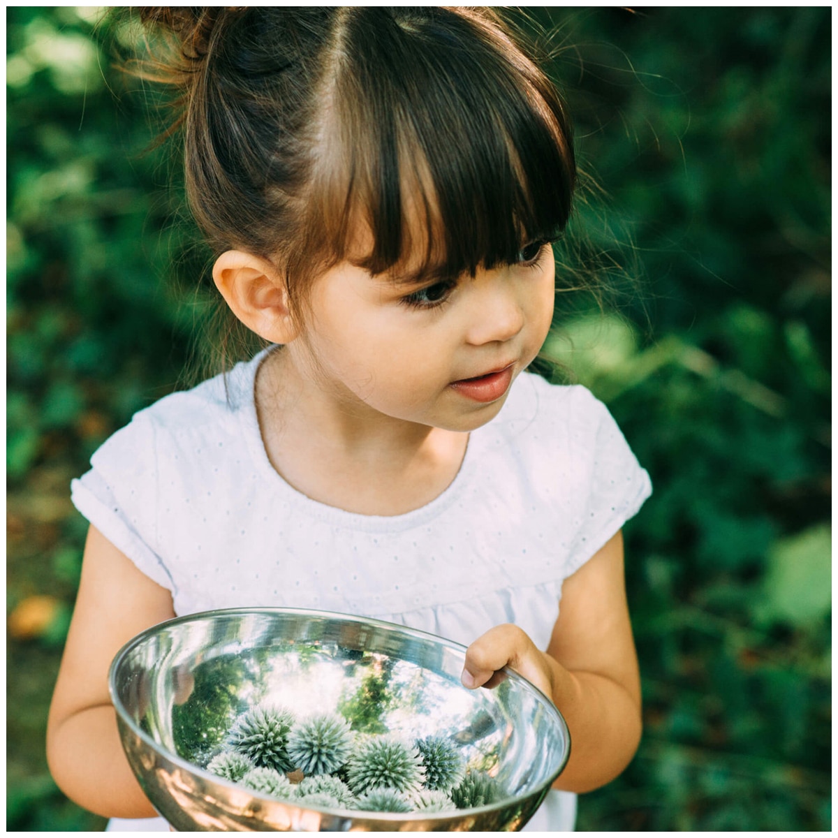 Plum Mud Pie Kitchen