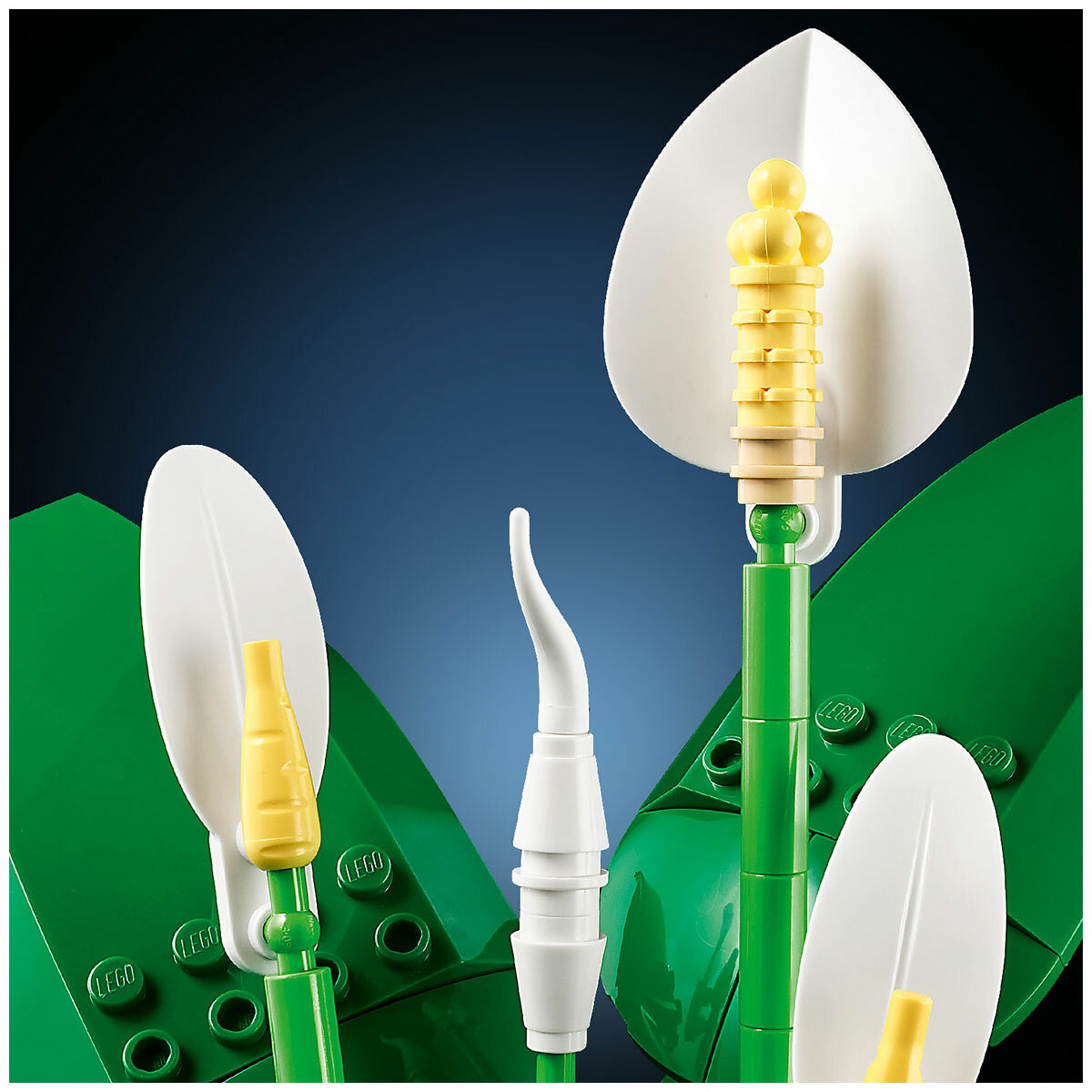 LEGO Botanicals Peace Lily 11504 LEGO Botanicals Peace Lily 11504
