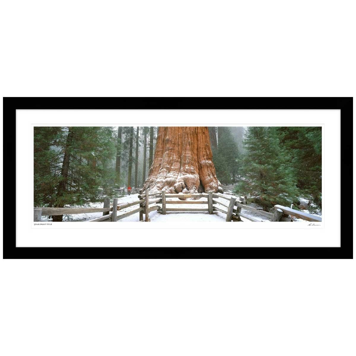 Ken Duncan Gen. Sherman Tree Sequoia N.P Framed Print 161 x 77.3cm