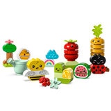 LEGO Duplo Organic Garden 10984