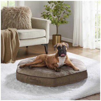 Kirkland Signature Hexagon Pet Napper Spring
