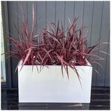 Greenlife Designer Planter Box 900 x 400 x 500mm