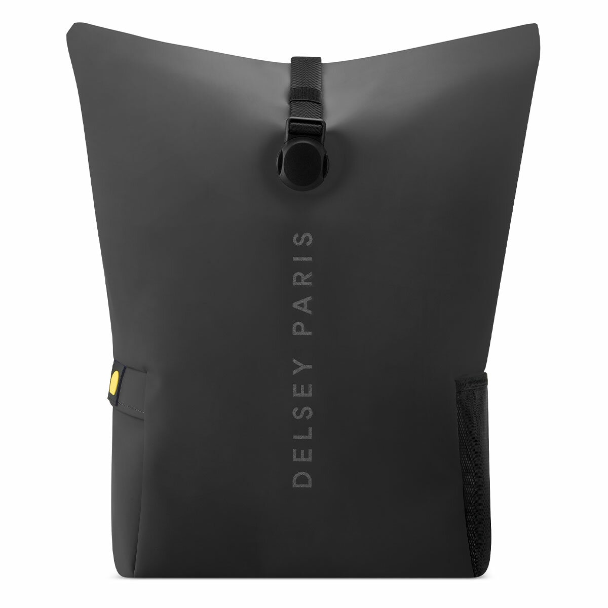 Delsey Turenne Rolltop Backpack