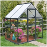 6x4 Hybrid Grey Glasshouse