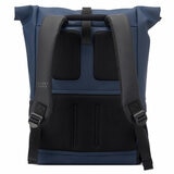 Delsey Turenne Rolltop Backpack