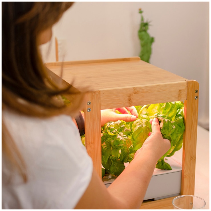 Urban Plant Growers EcoKitchen Smart Garden Costco Australia