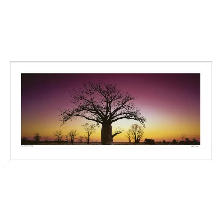 Ken Duncan 40 Inch Kimberley Boab, WA Framed Print