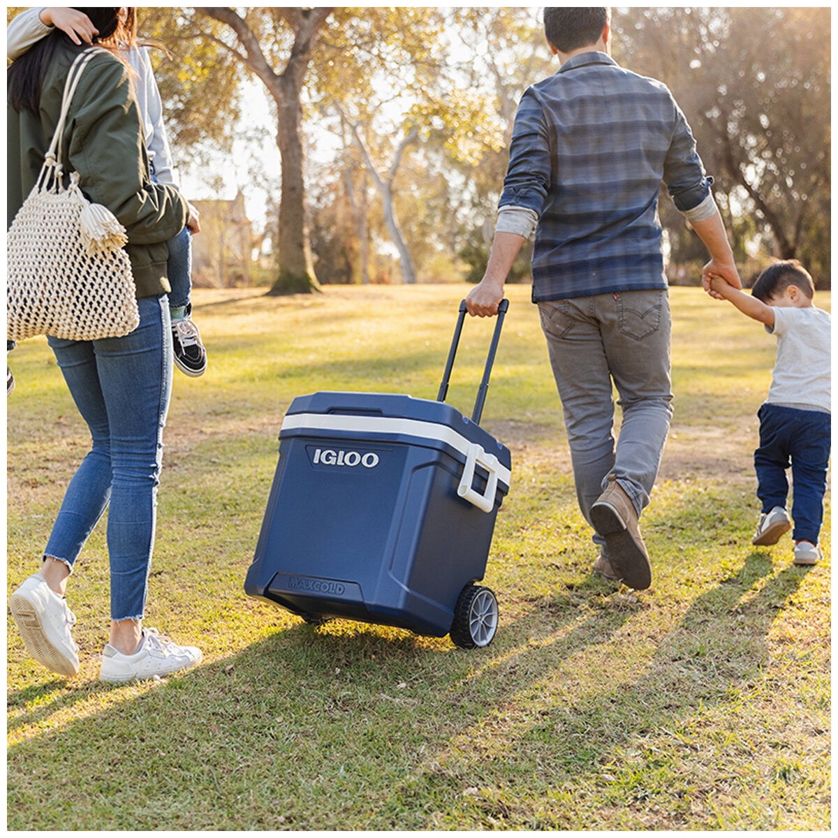 Igloo 62QT Maxcold