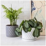 over&back Set of 2 Honeycomb Ceramic Planters