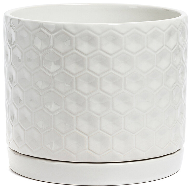 over&back Set Of 2 Honeycomb Ceramic Planters White Blue over&back Set Of 2 Honeycomb Ceramic Planters White Blue