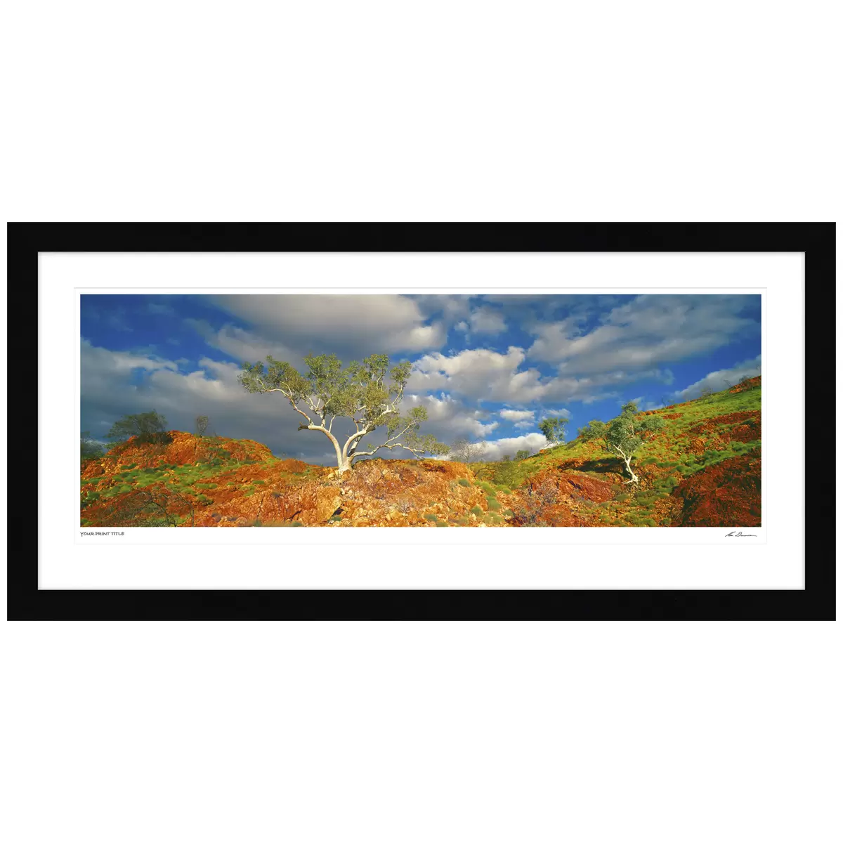 Ken Duncan 50 Inch Snappy Gums, Marble Bar, WA Framed Print