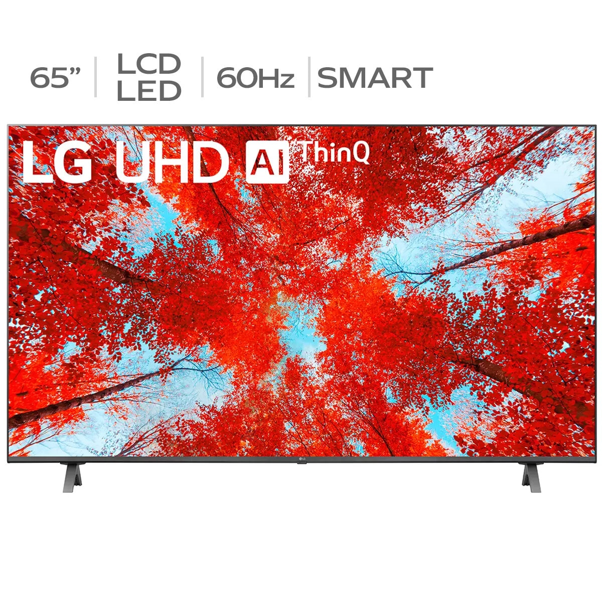 TV information main image