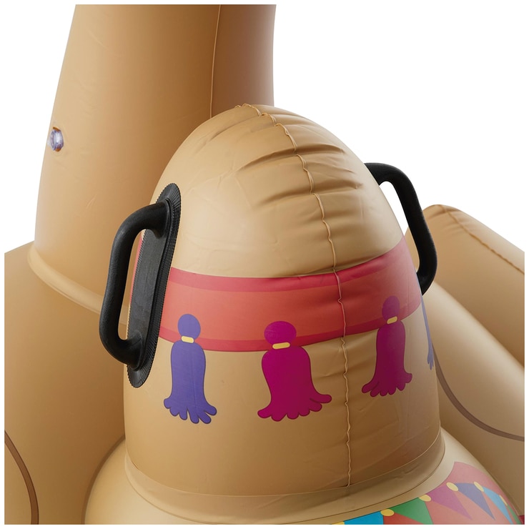 camel float