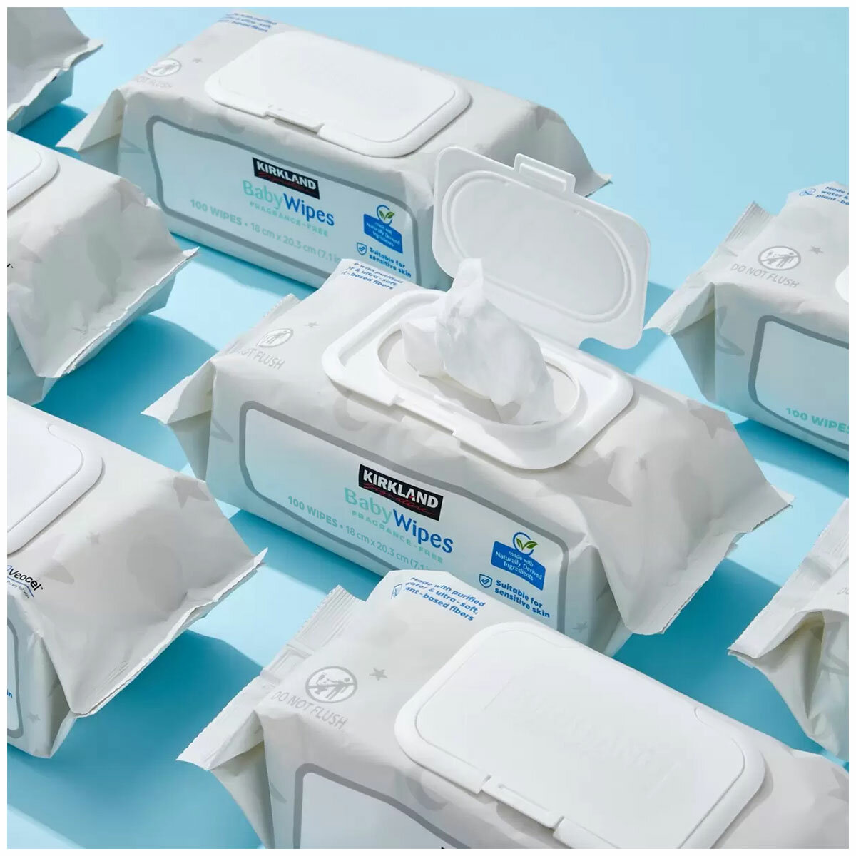 Kirkland Signature Fragrance Free Baby Wipes 9 x 100 Pack