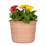 Forum Planters 3 Pack