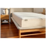 Koala Calm As Queen Mattress