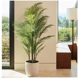 CG Hunter Faux Palm Tree in Ribbed Pot 2M