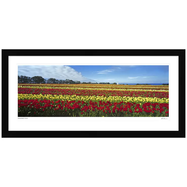 Ken Duncan Nature's Palette TAS Black Framed Print 161 x 77.3 cm Ken Duncan Nature's Palette TAS Black Framed Print 161 x 77.3 cm