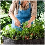 Keter Easy Grow Planter Brown