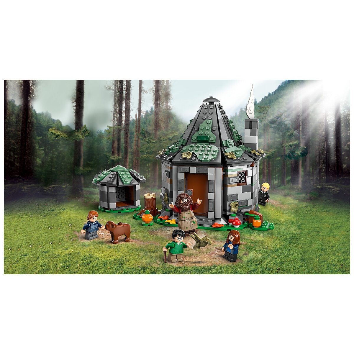 LEGO Harry Potter Hagrid's Hut An Unexpected Visit 76428