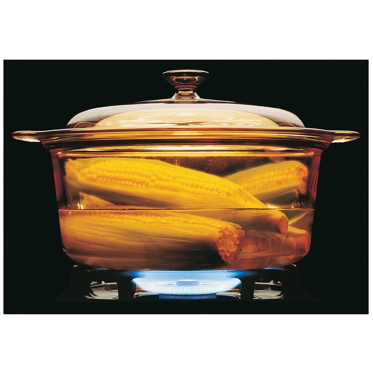 Visions 5L Pyroceram Glass Covered Dutch Oven Costco Australia