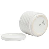 over&back Set of 2 Honeycomb Ceramic Planters