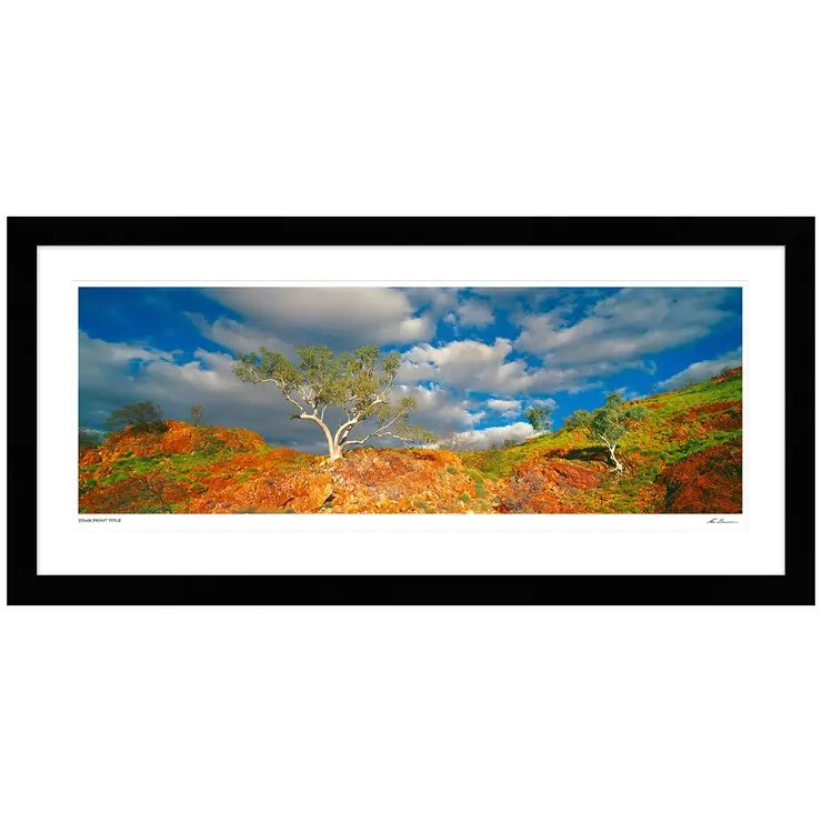 Ken Duncan 30 Snappy Gums, Marble Bar, WA Framed Print Black Ken Duncan 30 Snappy Gums, Marble Bar, WA Framed Print Black